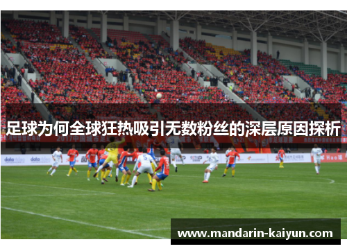 足球为何全球狂热吸引无数粉丝的深层原因探析