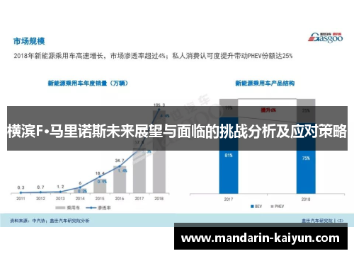 横滨F·马里诺斯未来展望与面临的挑战分析及应对策略 横滨F·马里诺斯未来展望与面临的挑战分析及应对策略
