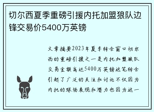 切尔西夏季重磅引援内托加盟狼队边锋交易价5400万英镑